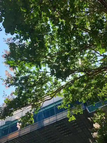 白龍神社の周辺