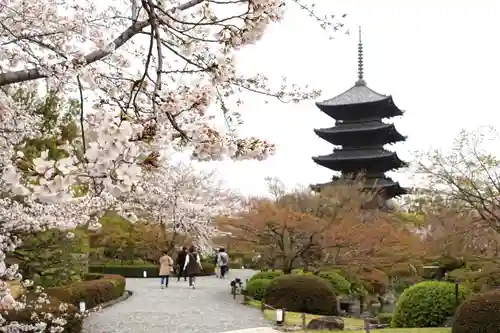 東寺（教王護国寺）(京都府)