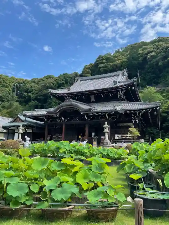 三室戸寺の本殿・本堂