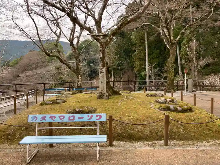 長谷寺(奈良県)