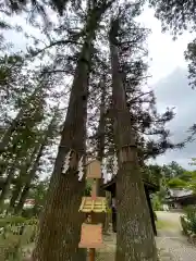 大崎八幡宮(宮城県)