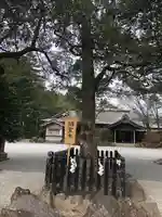 霧島神宮(鹿児島県)