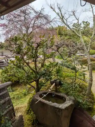 正法寺(京都府)