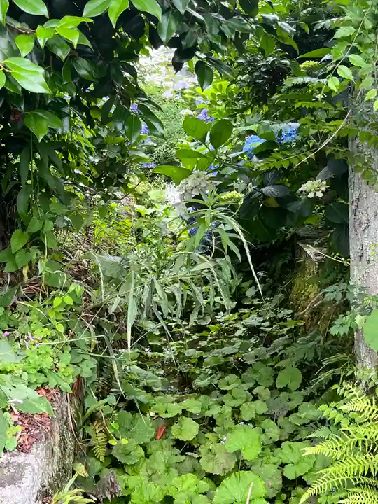 正傅寺(滋賀県)