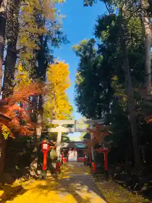 馬橋稲荷神社のその他建物