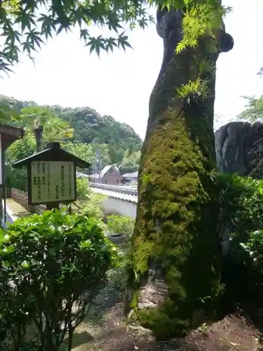 瀧山寺の自然