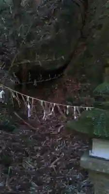 室山熊野神社の自然