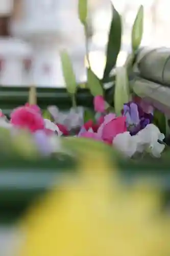 草加神社(埼玉県)