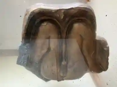 塞神社(長崎県)