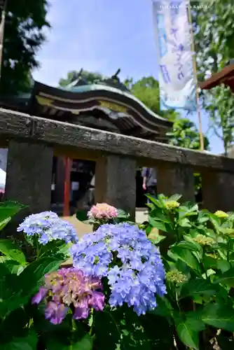 川越八幡宮(埼玉県)