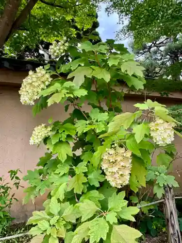 天得院(京都府)