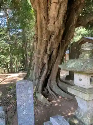 雨引千勝神社(茨城県)