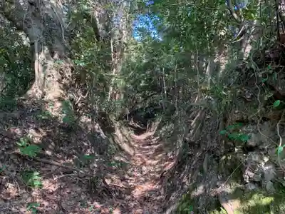 八坂神社の周辺