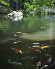 青龍山 吉祥寺(群馬県)