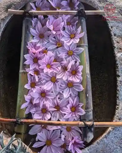 立志神社(滋賀県)