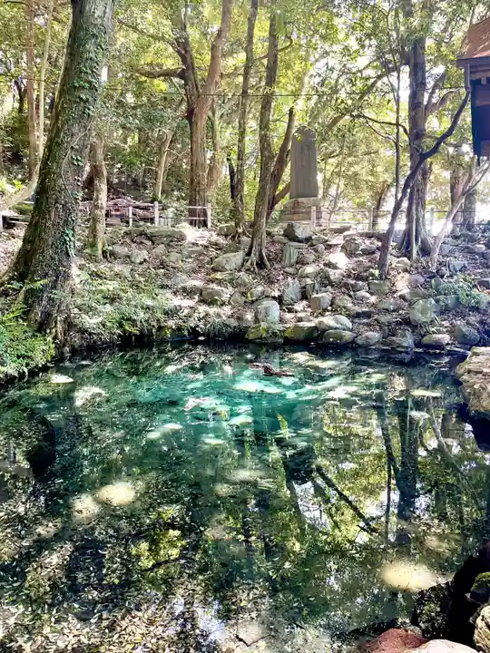 泉神社(茨城県)