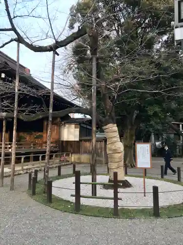 靖國神社の自然