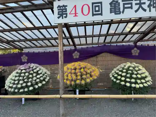 亀戸天神社(東京都)