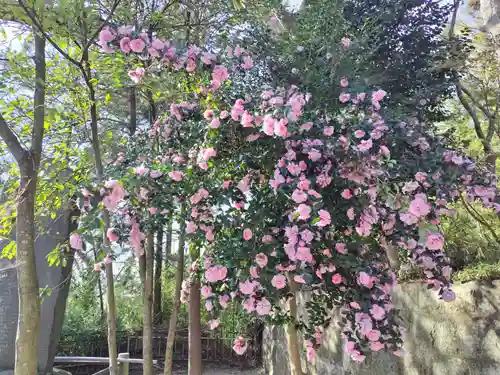 二本松神社(福島県)