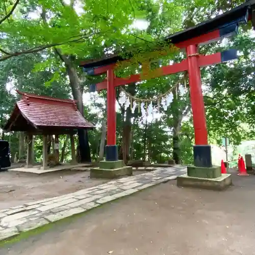 氷川女體神社の鳥居