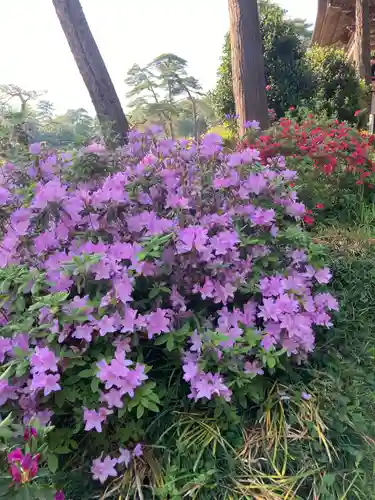 塩船観音寺(東京都)
