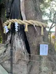 常陸國總社宮(茨城県)