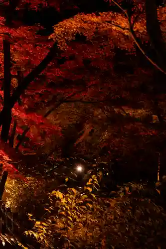 北野天満宮(京都府)