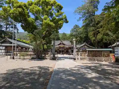 大麻比古神社(徳島県)