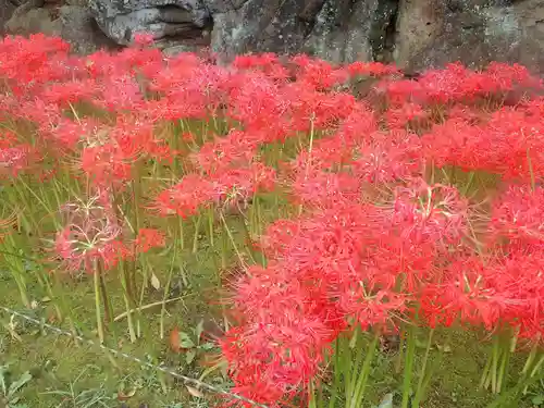 横浜　西方寺(神奈川県)