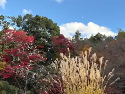 詩仙堂（丈山寺）(京都府)
