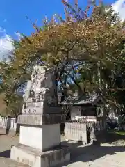 冨士御室浅間神社(山梨県)