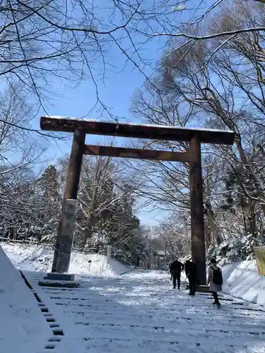 北海道神宮の鳥居