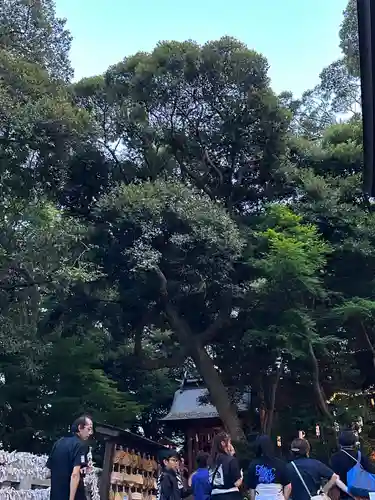 大甕神社(茨城県)