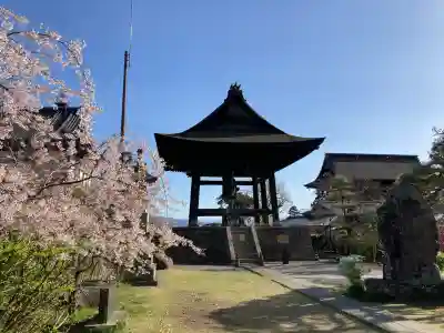 善光寺の{uncategorized: "未分類", other: "その他", undefined: "問題あり", building: "その他建物", grave: "お墓", sacred_gate: "鳥居", guardian: "狛犬", statue: "像", buddha: "仏像", history: "歴史", nature: "自然", garden: "庭園", animal: "動物", pagoda: "塔", temizu: "手水舎", mountain_gate: "山門・神門", sanctuary: "本殿・本堂", subordinate: "末社・摂社", art: "芸術", scenery: "景色", jizo: "地蔵", ema: "絵馬", goshuin: "御朱印", omikuji: "おみくじ", items: "授与品その他", amulet: "お守り", goshuincho: "御朱印帳", eats: "食事", festival: "お祭り", votive_dance: "神楽", shichigosan: "七五三参", wedding: "結婚式", experience: "体験その他", initially: "初詣", around: "周辺", anti_infection: "感染症対策"}