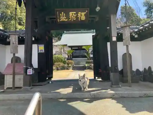 盛徳寺の{uncategorized: "未分類", other: "その他", undefined: "問題あり", building: "その他建物", grave: "お墓", sacred_gate: "鳥居", guardian: "狛犬", statue: "像", buddha: "仏像", history: "歴史", nature: "自然", garden: "庭園", animal: "動物", pagoda: "塔", temizu: "手水舎", mountain_gate: "山門・神門", sanctuary: "本殿・本堂", subordinate: "末社・摂社", art: "芸術", scenery: "景色", jizo: "地蔵", ema: "絵馬", goshuin: "御朱印", omikuji: "おみくじ", items: "授与品その他", amulet: "お守り", goshuincho: "御朱印帳", eats: "食事", festival: "お祭り", votive_dance: "神楽", shichigosan: "七五三参", wedding: "結婚式", experience: "体験その他", initially: "初詣", around: "周辺", anti_infection: "感染症対策"}