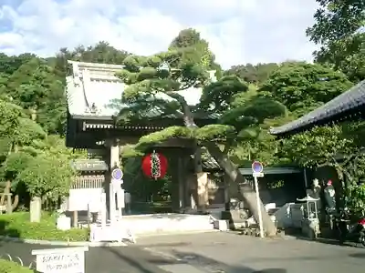長谷寺の山門・神門