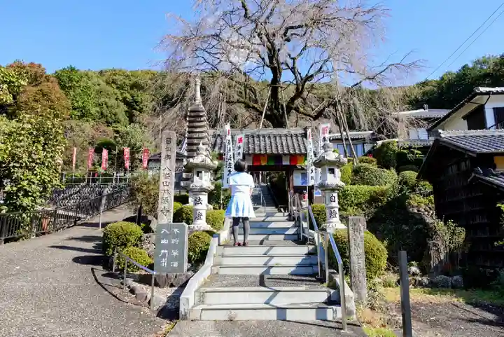 林陽寺の山門・神門