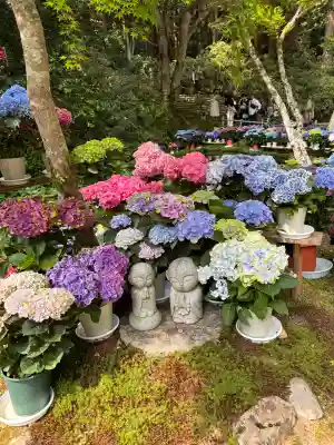 室生寺(奈良県)