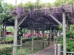 亀戸天神社の自然