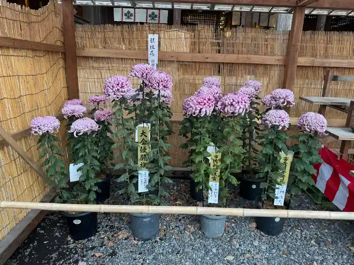 諏訪大社下社秋宮(長野県)