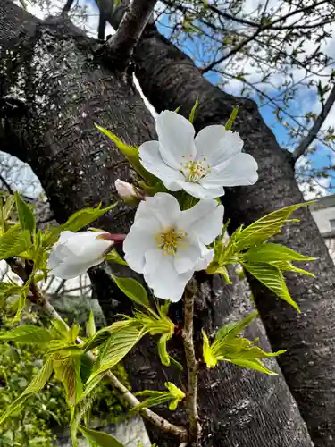 六孫王神社(京都府)