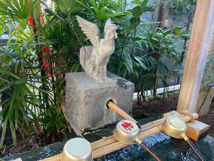 高知大神宮の狛犬