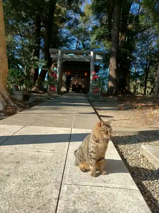 息栖神社の{uncategorized: "未分類", other: "その他", undefined: "問題あり", building: "その他建物", grave: "お墓", sacred_gate: "鳥居", guardian: "狛犬", statue: "像", buddha: "仏像", history: "歴史", nature: "自然", garden: "庭園", animal: "動物", pagoda: "塔", temizu: "手水舎", mountain_gate: "山門・神門", sanctuary: "本殿・本堂", subordinate: "末社・摂社", art: "芸術", scenery: "景色", jizo: "地蔵", ema: "絵馬", goshuin: "御朱印", omikuji: "おみくじ", items: "授与品その他", amulet: "お守り", goshuincho: "御朱印帳", eats: "食事", festival: "お祭り", votive_dance: "神楽", shichigosan: "七五三参", wedding: "結婚式", experience: "体験その他", initially: "初詣", around: "周辺", anti_infection: "感染症対策"}