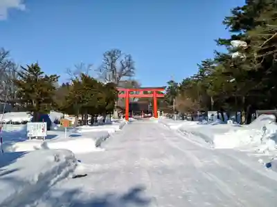 北海道護國神社の鳥居