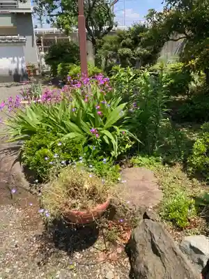 大光寺(神奈川県)