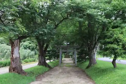 白幡八幡神社の鳥居