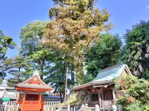保津八幡宮社(京都府)