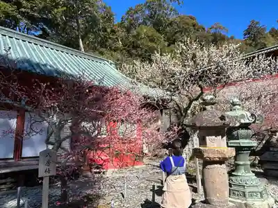 久能山東照宮(静岡県)