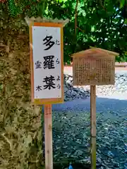 丹生川上神社（下社）(奈良県)