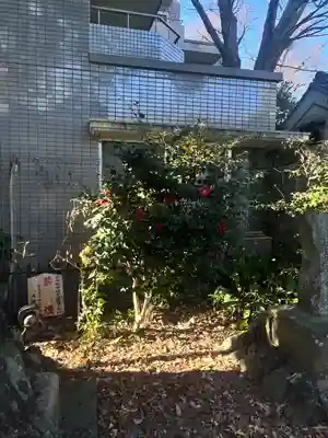 印内八坂神社(千葉県)